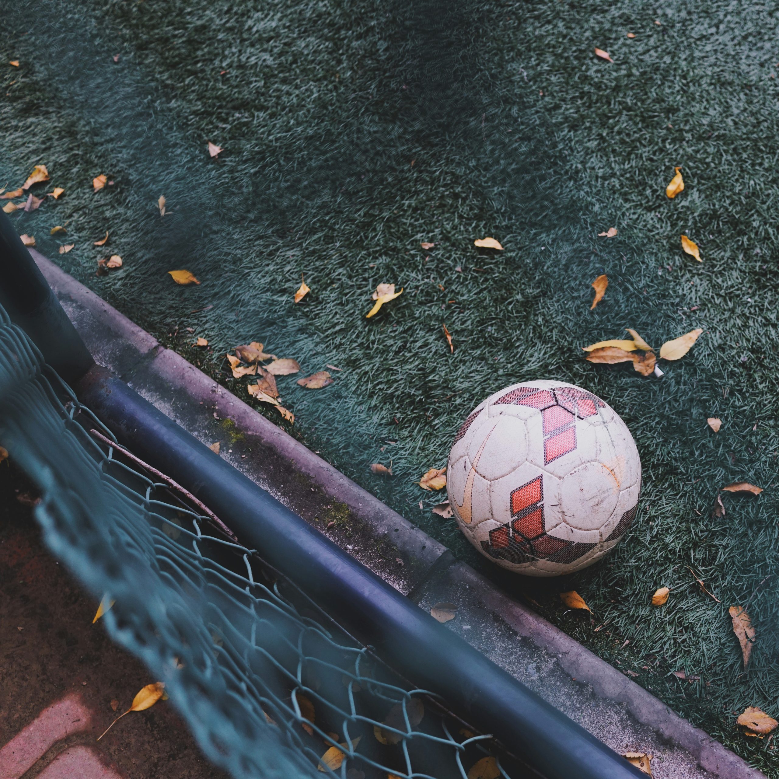 Fußball liegt auf Kunstrasen mit einigen bunten Blättern